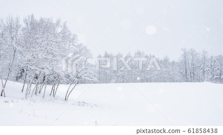 雪域 雪域 61858438