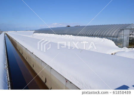 A plastic house in the snow 61858489