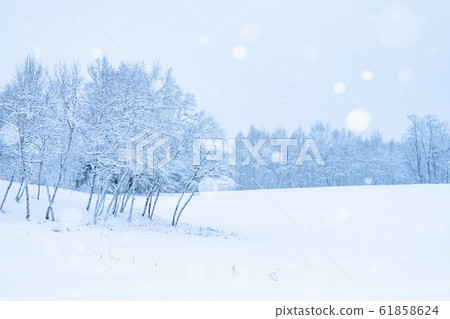 Snowy field 61858624