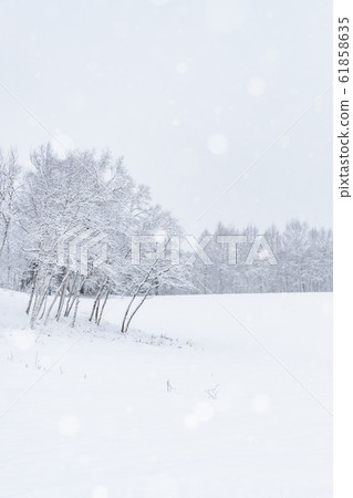 Snowy field 61858635