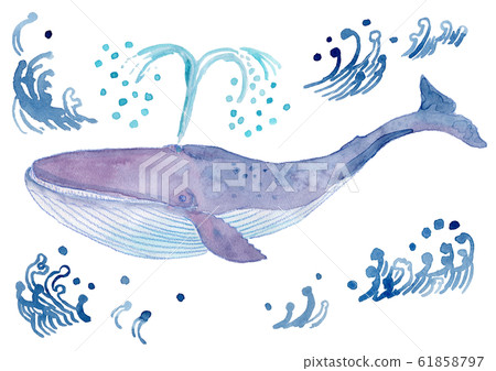 藍鯨水彩 藍鯨水彩 61858797