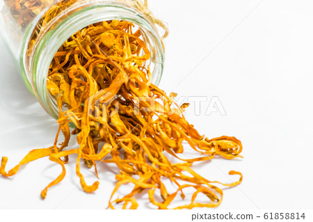 Cordyceps militaris mushroom Cordyceps militaris mushroom 61858814