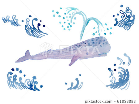 抹香鯨水彩 61858888