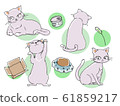 cat 61859217