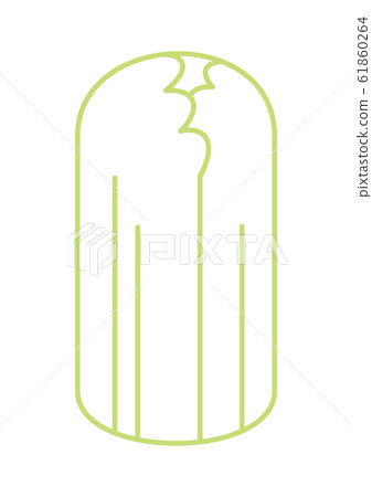 Chinese cabbage line drawing 61860264