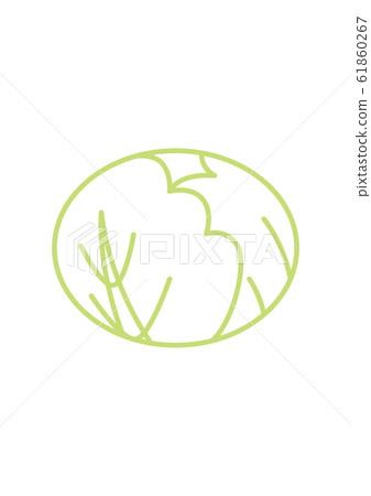 Cabbage line drawing - Stock Illustration [61860267] - PIXTA