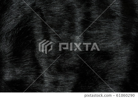 Background texture of black fur made of synthetic animal long hair. Background texture of black fur made of synthetic animal long hair. 61860290