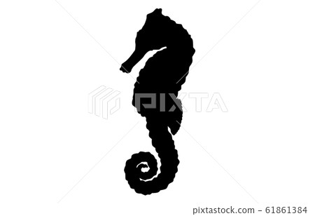 動物剪影海/河海馬2 動物剪影海/河海馬2 61861384
