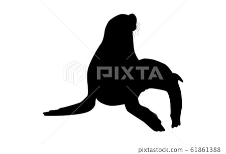 動物剪影海和河海獅3 動物剪影海和河海獅3 61861388