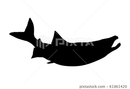 Animal silhouette sea and river salmon 1 61861420