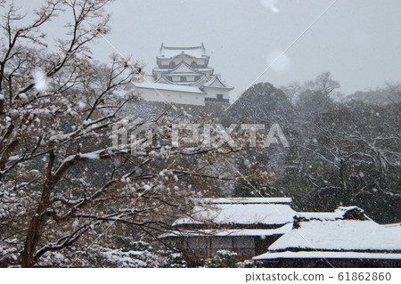 Hikone Castle of Snow 61862860