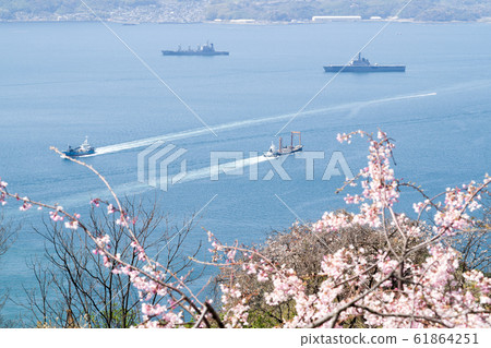 從櫻花盛開的奧托瀨戶公園看吳市灣的景色 61864251