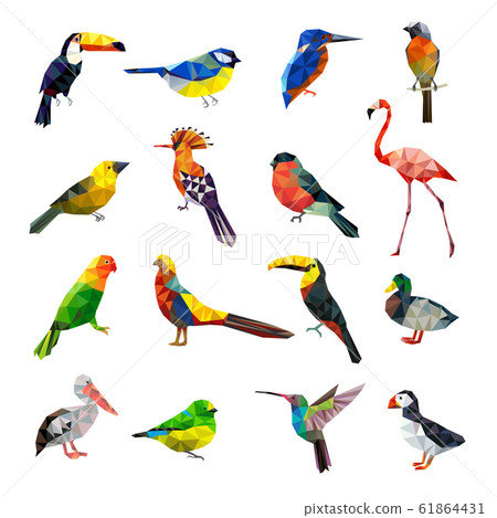 Polygonal birds. Geometrical stylized animals set flying colored birds low poly vector set 61864431