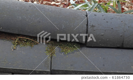 Mossy Tiled Fence Mossy Tiled Fence 61864730