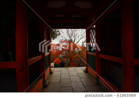 Autumn leaves peeking through the gate Autumn leaves peeking through the gate 61865069