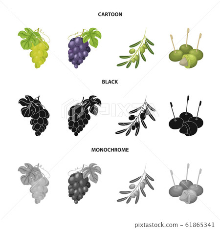 Vector design of berry and fruit logo. Set of berry and redberry stock symbol for web. 61865341