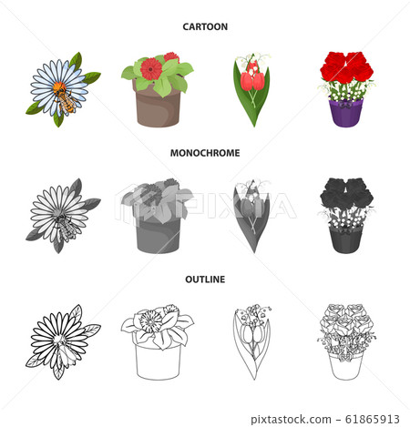 Vector design of spring and wreath logo. Collection of spring and blossom vector icon for stock. Vector design of spring and wreath logo. Collection of spring and blossom vector icon for stock. 61865913