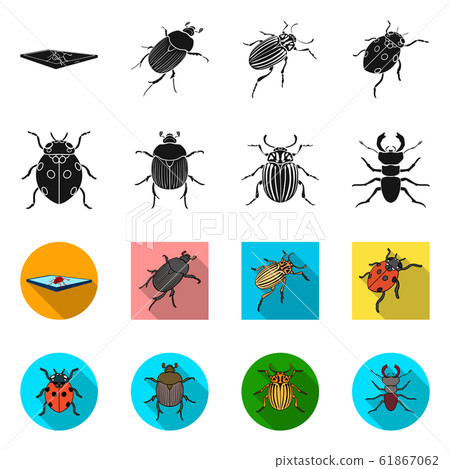 Vector illustration of insect and beetle logo. Collection of insect and halloween stock vector illustration. 61867062