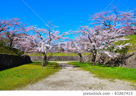 Sakurakei Hakodate Goryokaku 61867425