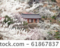 梅花村 61867837