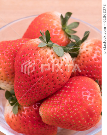 Strawberry @ Tochigi i37 61868378