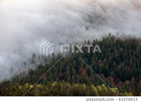 Autumn Alps mountain misty morning view from Autumn Alps mountain misty morning view from 61870013