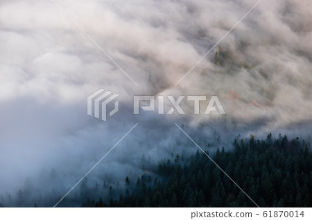Autumn Alps mountain misty morning view from Autumn Alps mountain misty morning view from 61870014