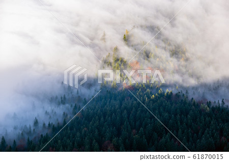 Autumn Alps mountain misty morning view from 61870015