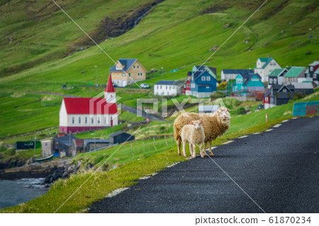 Sheep mom and baby looking to the camera Sheep mom and baby looking to the camera 61870234