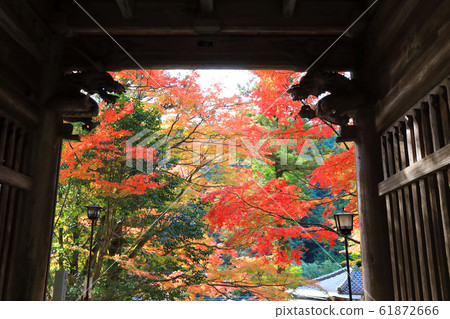 香川縣大久保寺的秋葉 香川縣大久保寺的秋葉 61872666