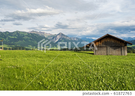 Autumn Impressions at Schweineberg near Sonthofen, Bavaria Germany 61872763