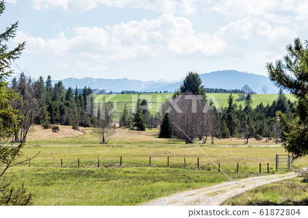 Landscape around Bad Hindelang in Bavaria, Germany 61872804
