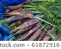 Organic carrots 61872916