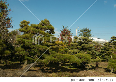 Tokaido Shinkansen and Japanese garden style Tokaido Shinkansen and Japanese garden style 61873045
