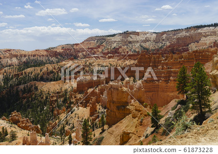 Bryce Canyon Bryce Canyon 61873228