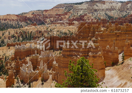 Bryce Canyon Bryce Canyon 61873257