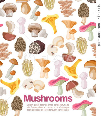 Mushrooms edible organic vegeterian mushrooming poster vector illustration. Mushrooms edible organic vegeterian mushrooming poster vector illustration. 61873510