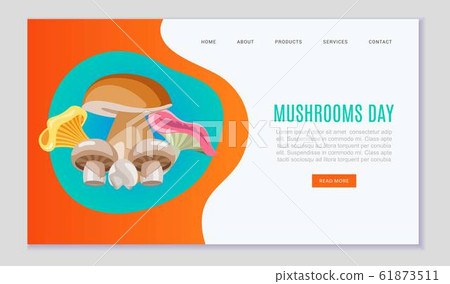 Mushrooms day edible organic vegeterian mushrooming web template, vector illustration. 61873511