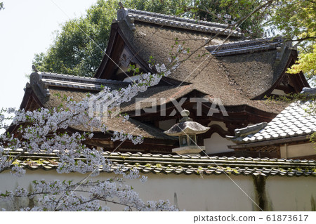 吉香神社的柏樹屋頂 吉香神社的柏樹屋頂 61873617