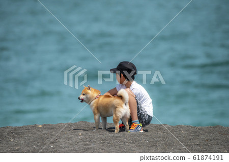 A boy staring at the sea and Mameshiba 61874191
