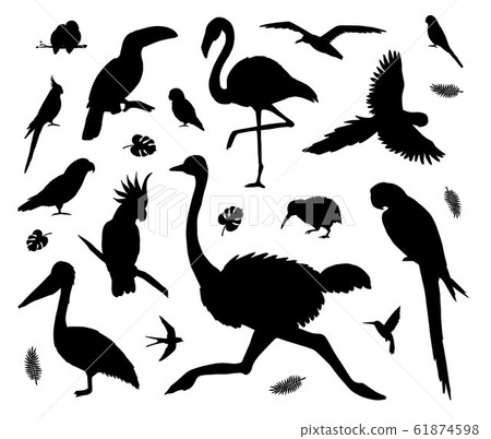 Vector set of black tropical wild birds silhouette 61874598