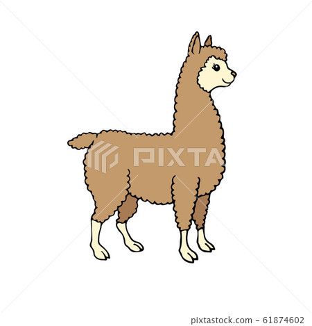 Vector hand drawn doodle colored llama alpaca 61874602