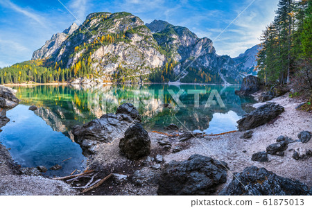 Autumn peaceful alpine lake Braies or Pragser 61875013
