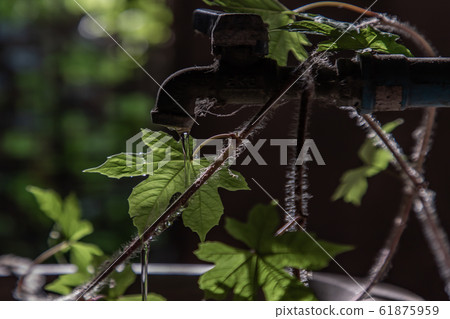 The moment of Water dripping flowing throug a The moment of Water dripping flowing throug a 61875959