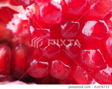 red pomegranate on a white background 61876733