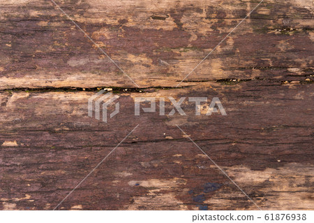 Old wood texture Old wood texture 61876938