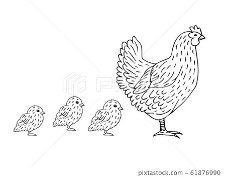 Vector hand drawn chicken and baby chicks Vector hand drawn chicken and baby chicks 61876990