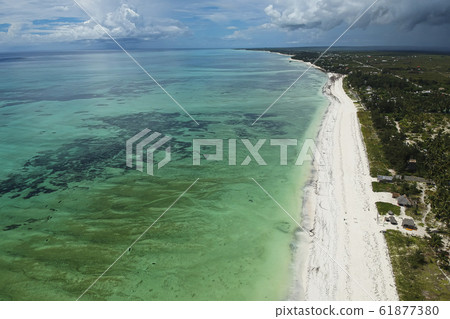 drone shot from tropical beach Unguja Island, Zanzibar 61877380