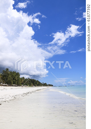 tropical beach Unguja Island, Zanzibar, Tanzania 61877392
