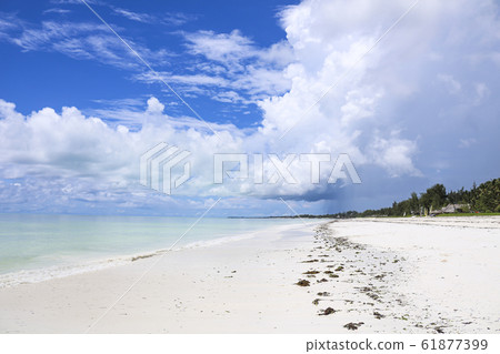 tropical beach Unguja Island, Zanzibar, Tanzania 61877399
